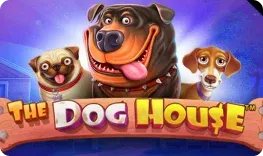 Funzybets – The Dog House